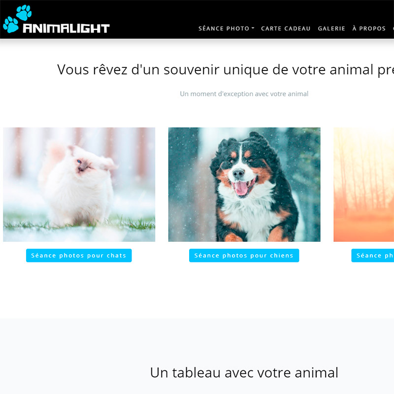 AnimaLight - Votre animal en photo